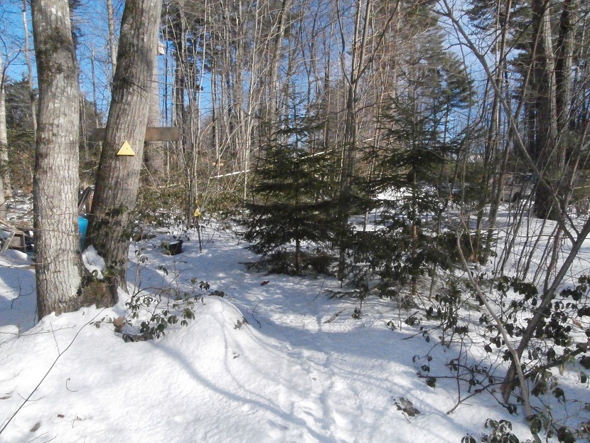 BlueJayPath